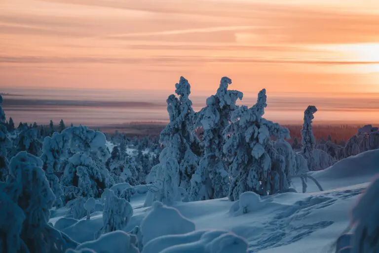 Groepsreis Lapland - natuur