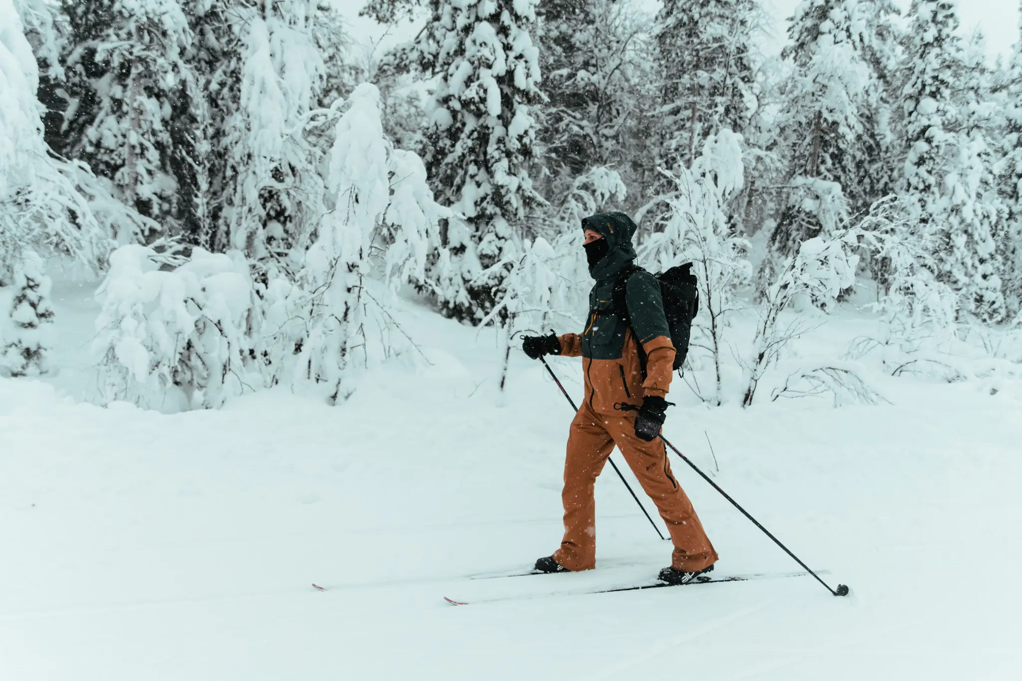 WeAdventures groepsreis Lapland
