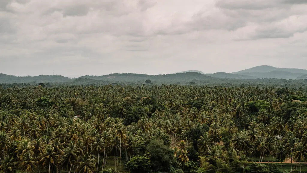 Groepsreis Sri Lanka - rondreis sri lanka - beste reistijd sri lanka