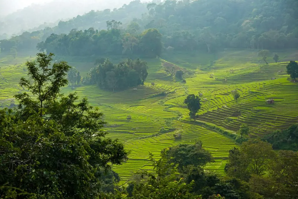 Groepsreis Sri Lanka - rondreis sri lanka - beste reistijd sri lanka