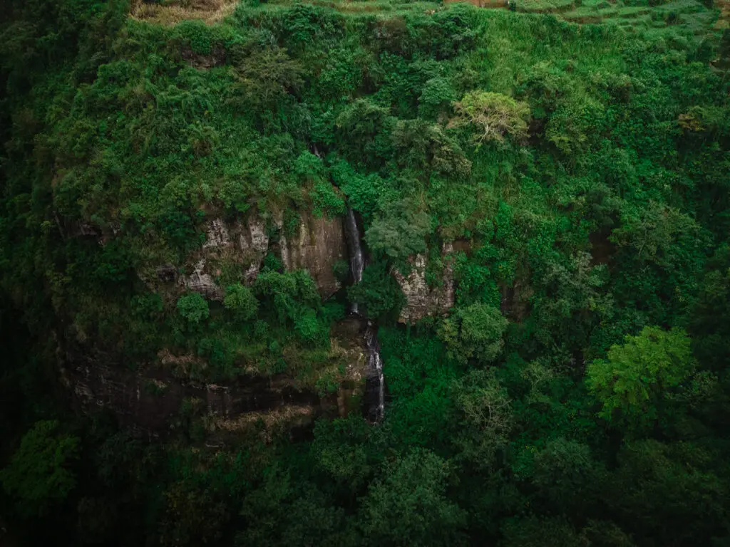 Sri Lanka groepsreis