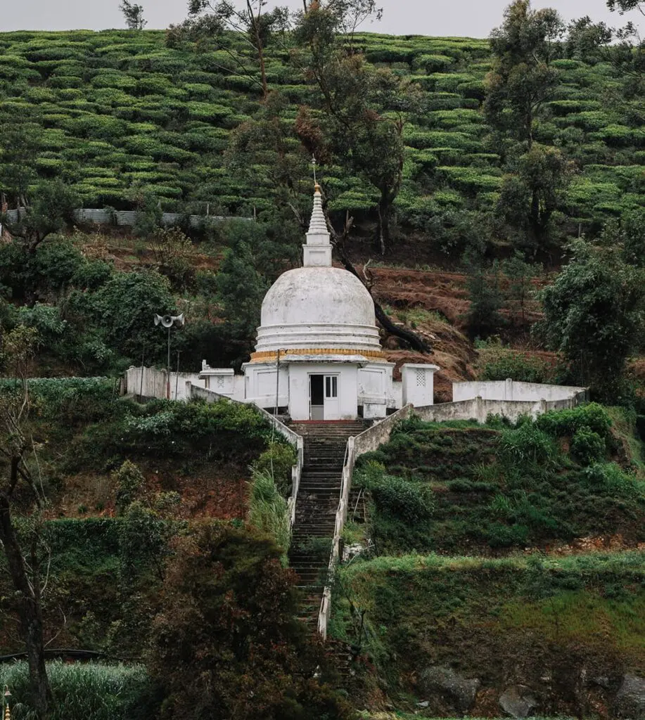 Groepsreis Sri Lanka