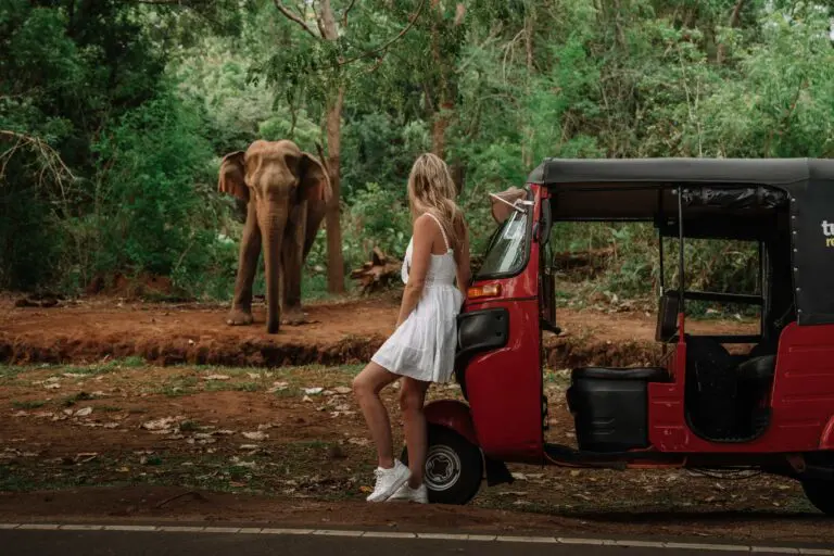 Groepsreis Sri Lanka - rondreis sri lanka - beste reistijd sri lanka