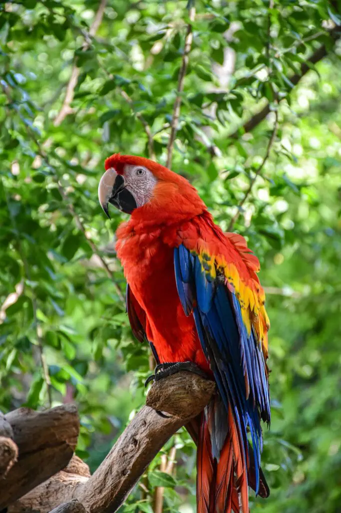 rondreis costa rica - groepsreis costa rica - beste reistijd costa rica