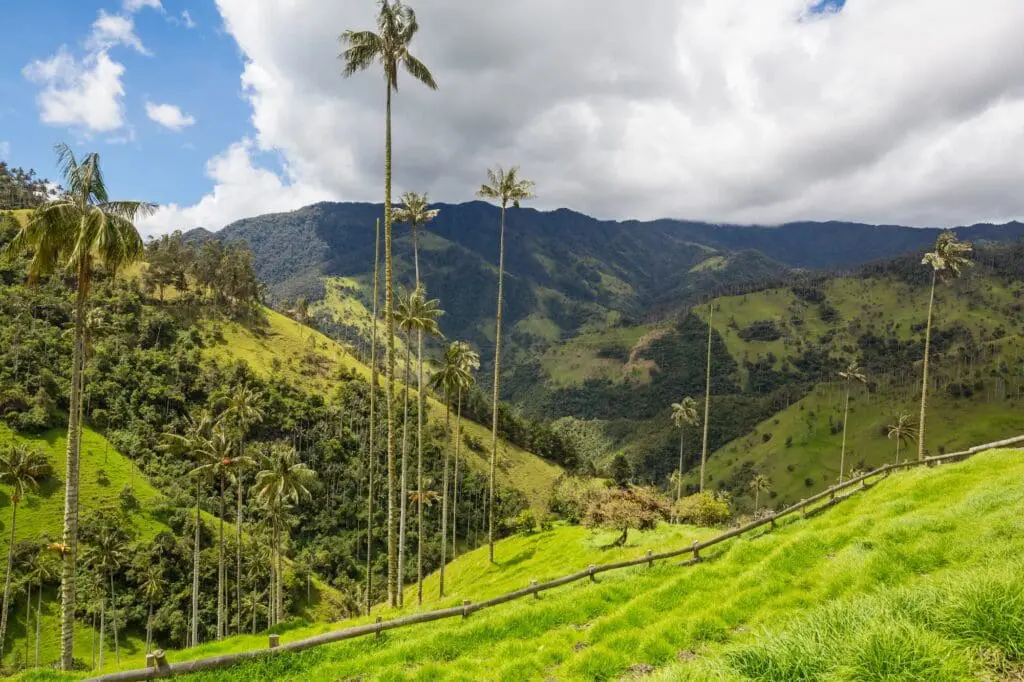 groepsreis colombia - singlereis colombia - beste reistijd colombia - rondreis colombia - backpacken colombia - cocora valley