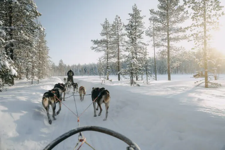 WeAdventures groepsreis Lapland