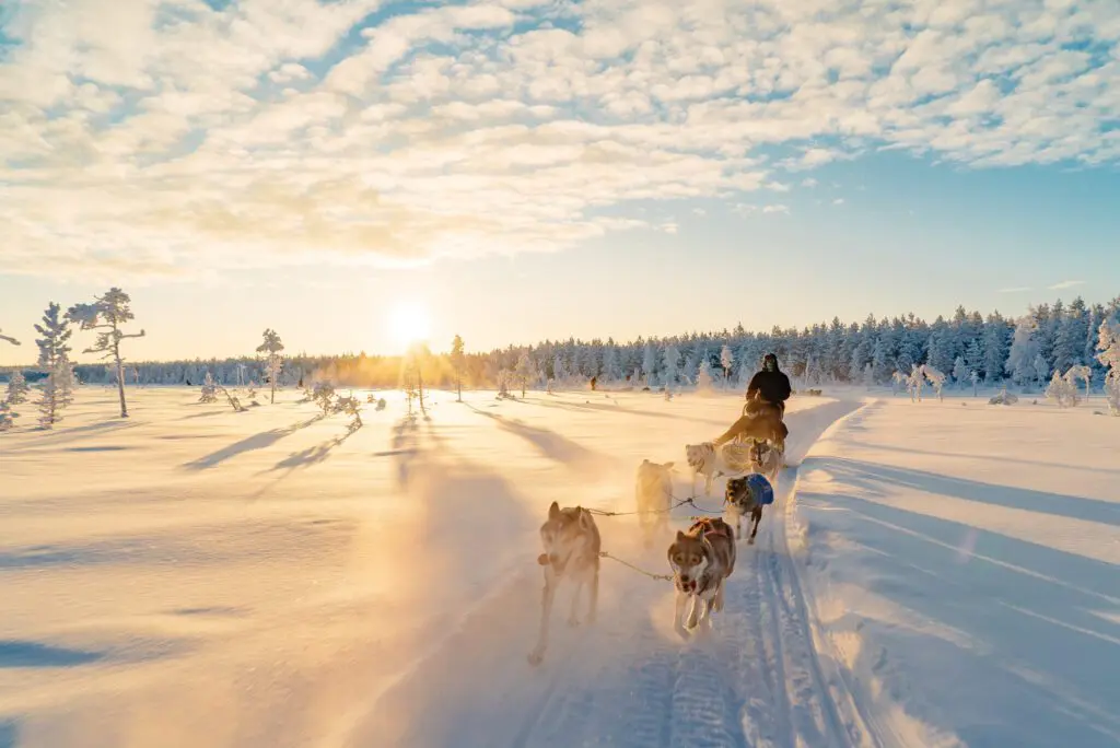 Groepsreis Lapland
