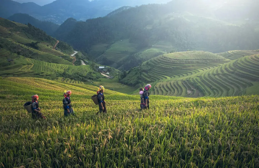 groepsreis Vietnam - rondreis Vietnam - Sapa