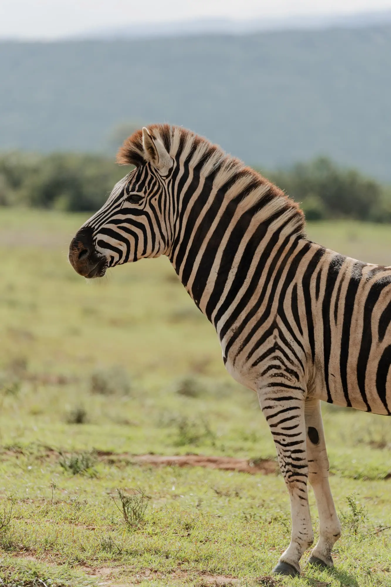 groepsreis zuid afrika - rondreis zuid afrika