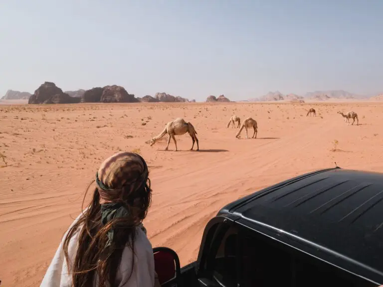 Groepsreis in Jordanië - Solo reis in Jordanië - jeepsafarie in de woestijn - Wadi Rum