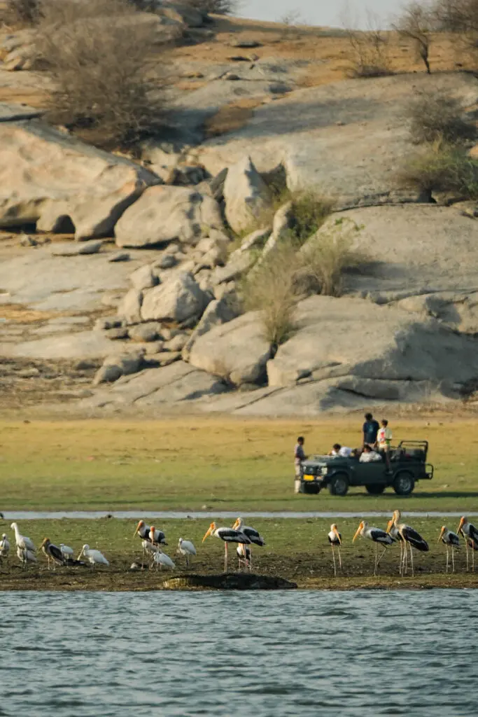 WA India