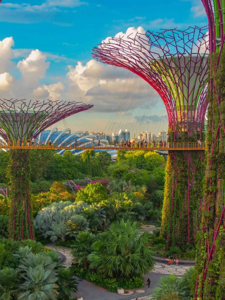 WA Malaysia & Sinapore