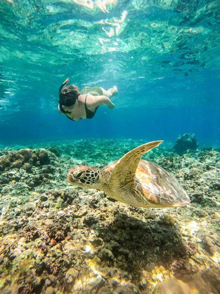 Groepsreis Bali - Beste reistijd Bali - Beste periode Bali - Doorreis Bali - Nusa Penida - Gili Islands - Gili Trawangan - Natuur in Bali - Vakantie in Bali - Beste reistijd Bali - Klimaat Bali