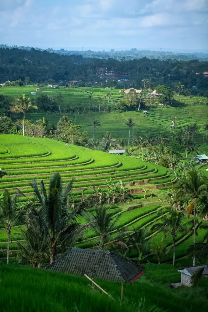 Groepsreis Bali - Beste reistijd Bali - Beste periode Bali - Doorreis Bali - Nusa Penida - Gili Islands - Gili Trawangan - Natuur in Bali - Vakantie in Bali - Beste reistijd Bali - Klimaat Bali