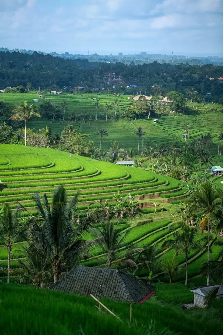 Groepsreis Bali - Beste reistijd Bali - Beste periode Bali - Doorreis Bali - Nusa Penida - Gili Islands - Gili Trawangan - Natuur in Bali - Vakantie in Bali - Beste reistijd Bali - Klimaat Bali