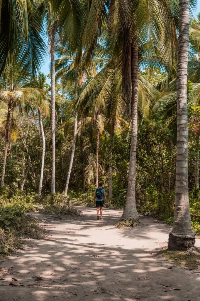 groepsreis colombia - rondreis colombia - cocora valley colombia - weadventures colombia
