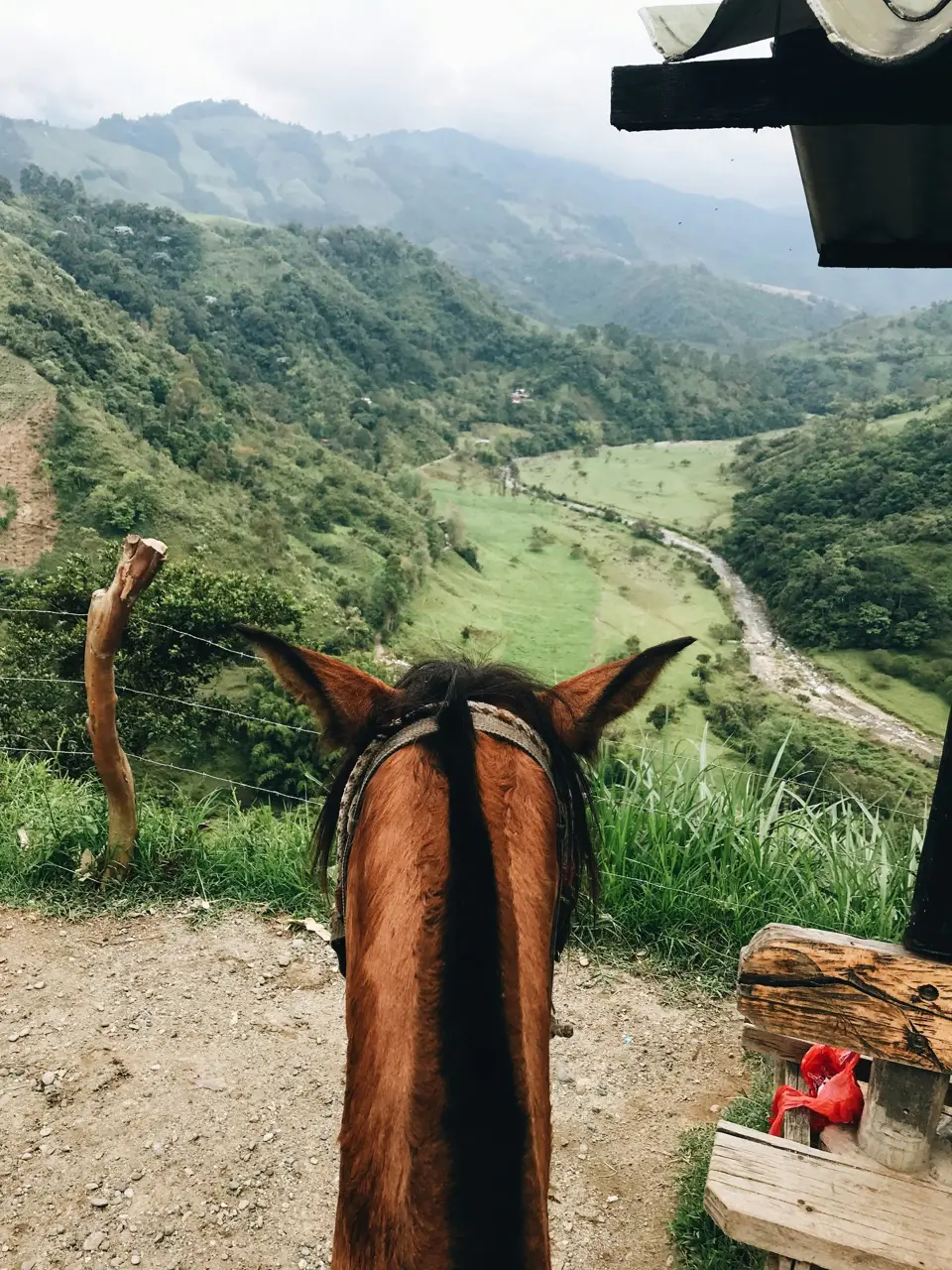 groepsreis colombia - rondreis colombia - cocora valley colombia - weadventures colombia