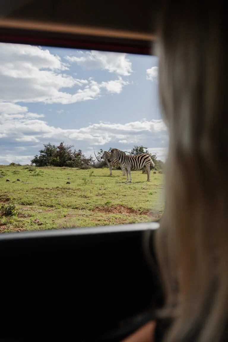 Groepsreis Zuid-Afrika - Rondreis Zuid-Afrika - Zuid-Afrika Soloreis