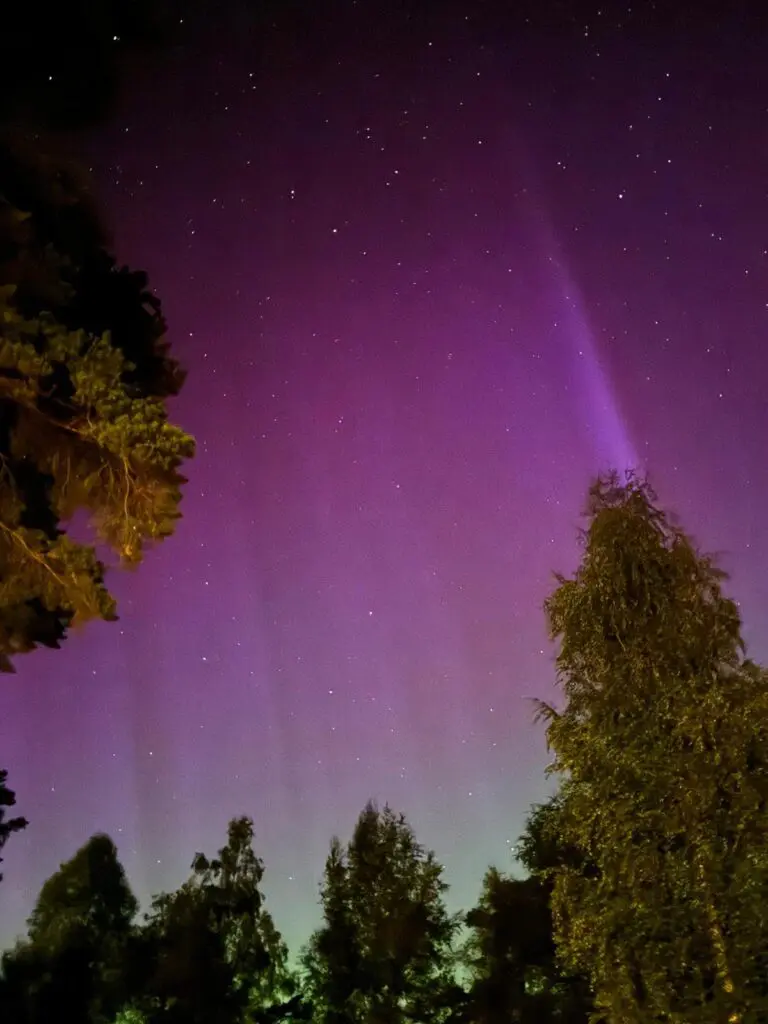 Groepsreis Nordic Woods - Groepsreis Glamping Zweden - Groepsreis glamping - Groepsreis Zweden