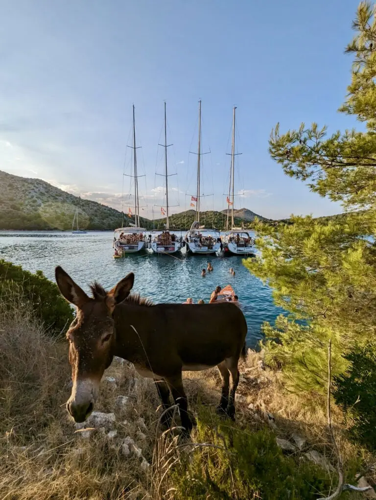 Groepsreis Kroatië - Zeilreis Kroatië - Zeil Kroatië - Bootreis Kroatië - Rondreis Kroatië