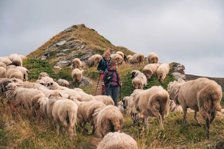 Groepsreis Balkan - Rondreis Balkan - Wandelreis Balkan - Trektocht Balkan