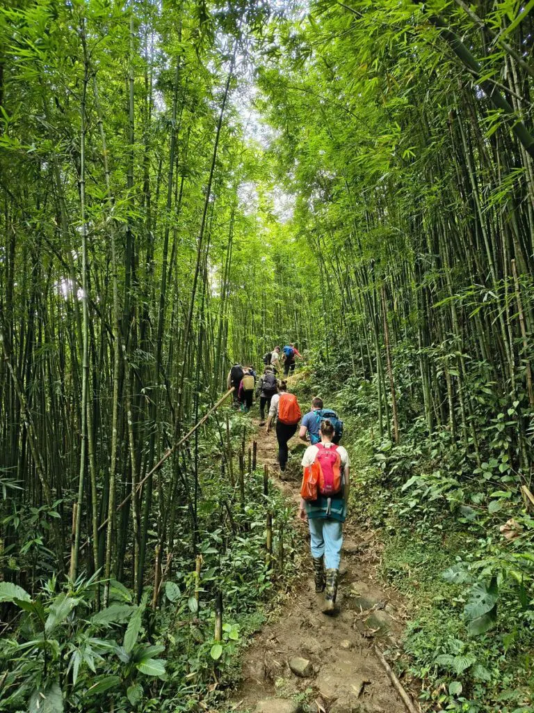 Groepsreis Vietnam - weadventures Vietnam - rondreis Vietnam