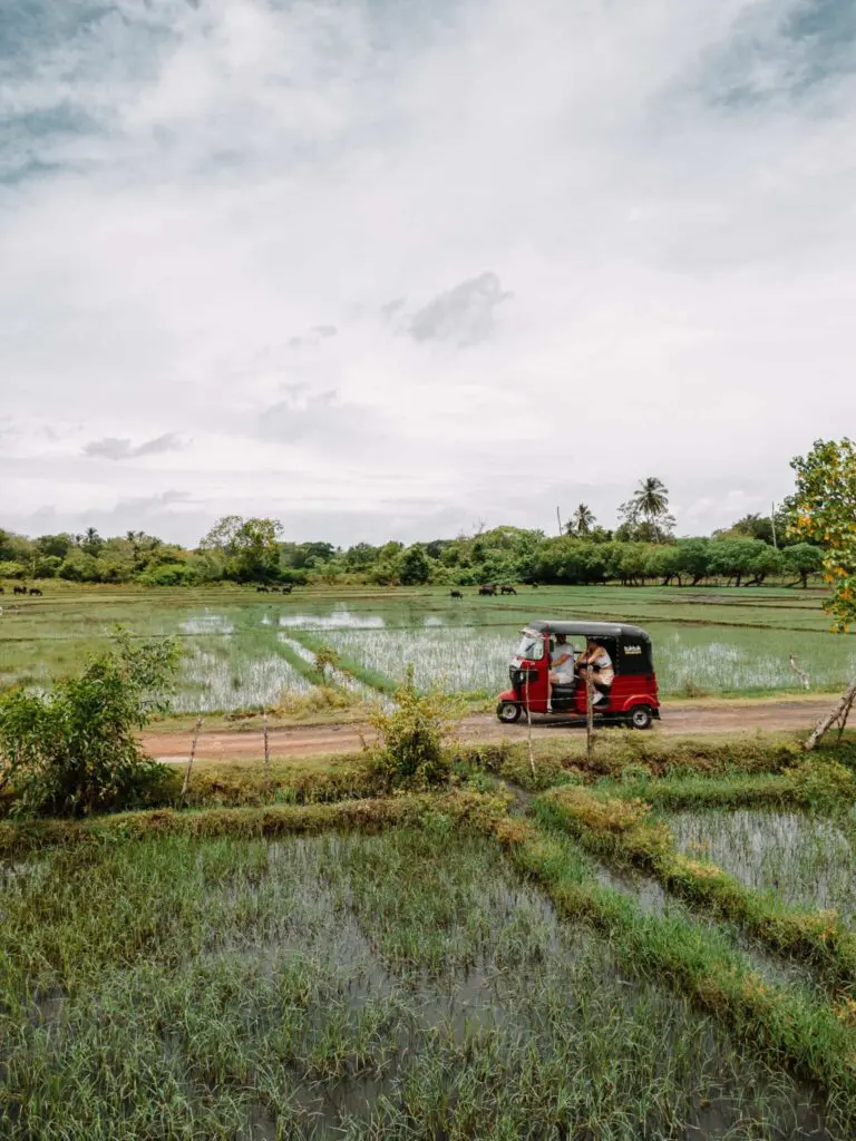 Groepsreis Sri Lanka - rondreis sri lanka - beste reistijd sri lanka