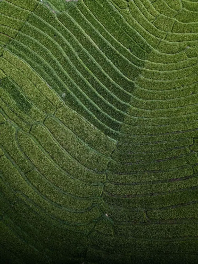 Groepsreis Sri Lanka - rondreis sri lanka - beste reistijd sri lanka
