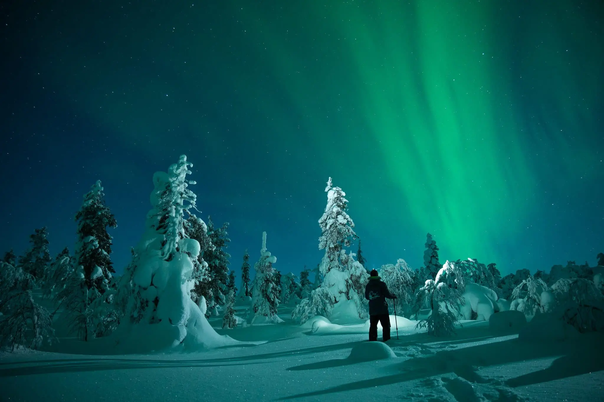 Groepsreis Lapland