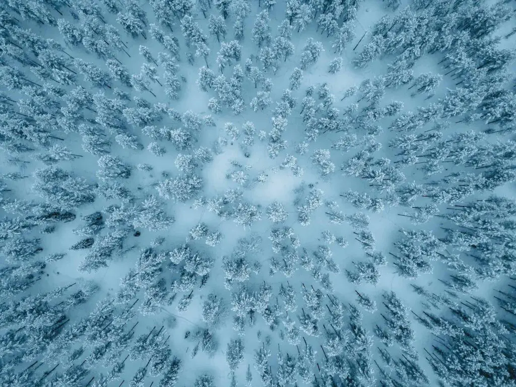 Groepsreis Lapland - natuur