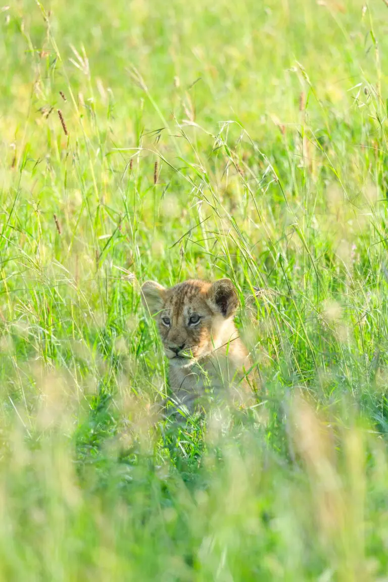 Groepsreis Tanzania - rondreis Tanzania - WeAdventures Tanzania