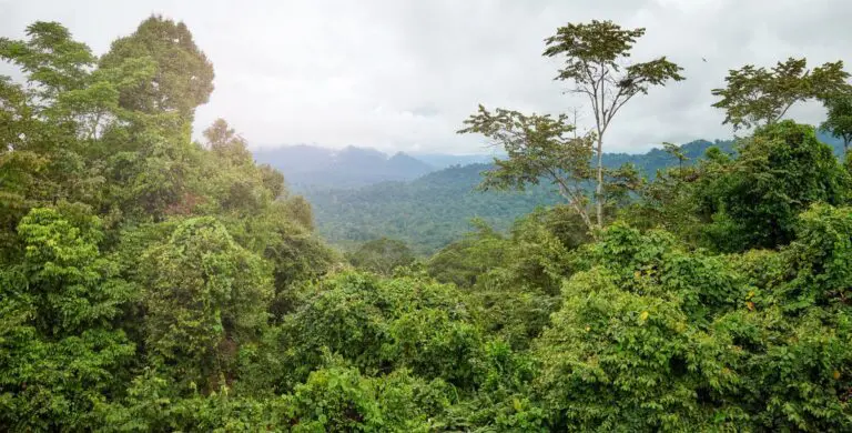 Rondreis Madagascar- groepsreis Madagascar