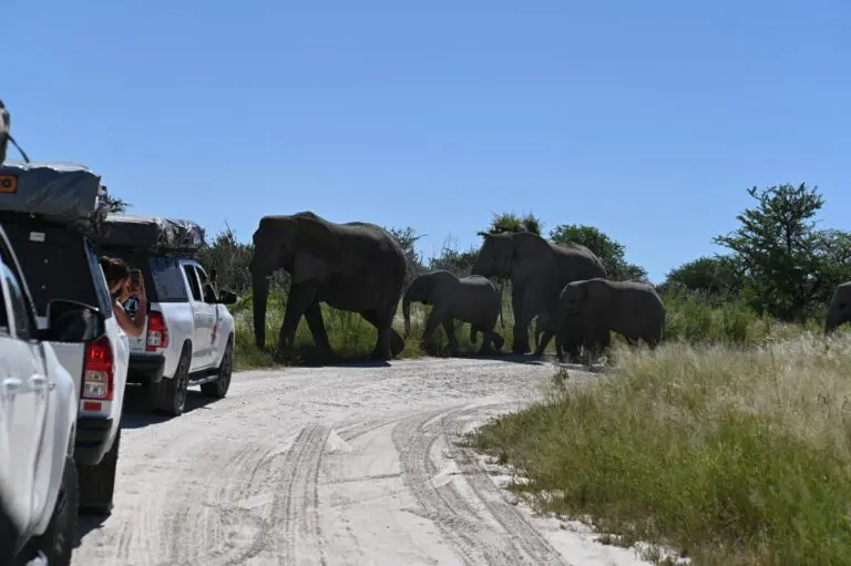 Rondreis Botswana - groepsreis Botswana