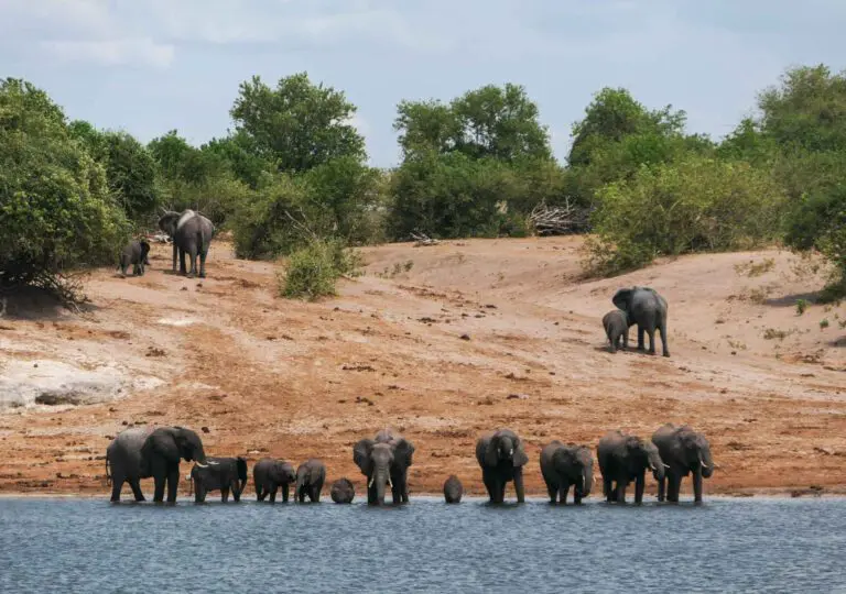 Rondreis Botswana - groepsreis Botswana