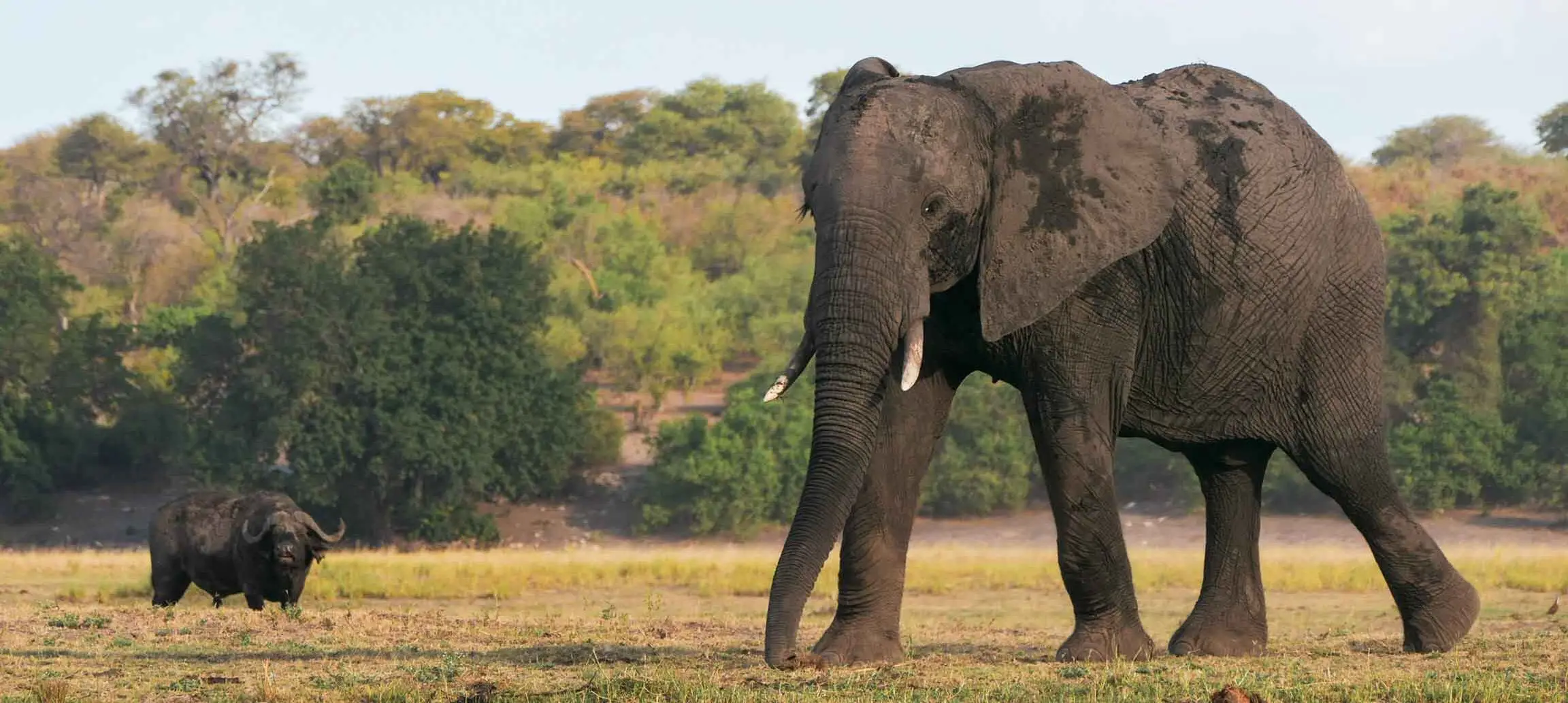 Rondreis Botswana - groepsreis Botswana