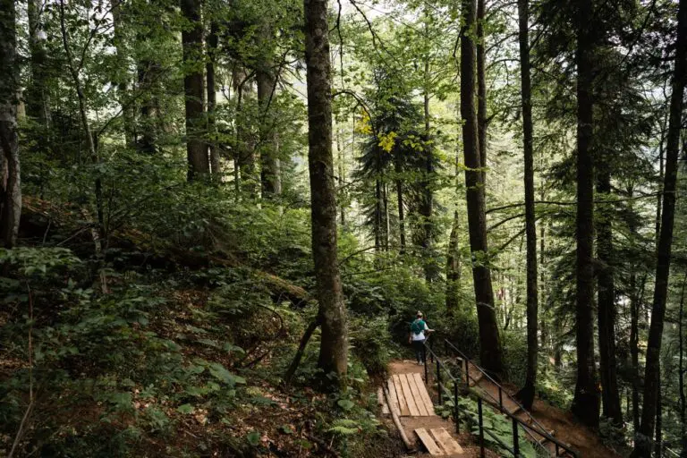 Groepsreis MullerthalTrail - TrailMullerthal - Trail