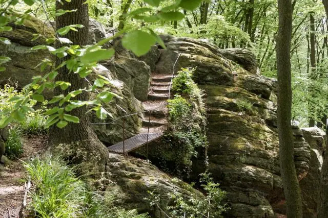 Groepsreis MullerthalTrail - TrailMullerthal - Trail