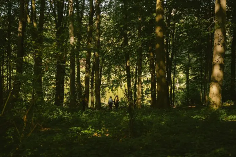Groepsreis MullerthalTrail - TrailMullerthal - Trail