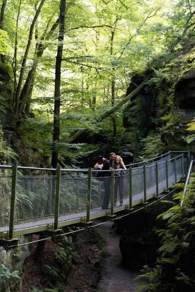 Groepsreis MullerthalTrail - TrailMullerthal - Trail