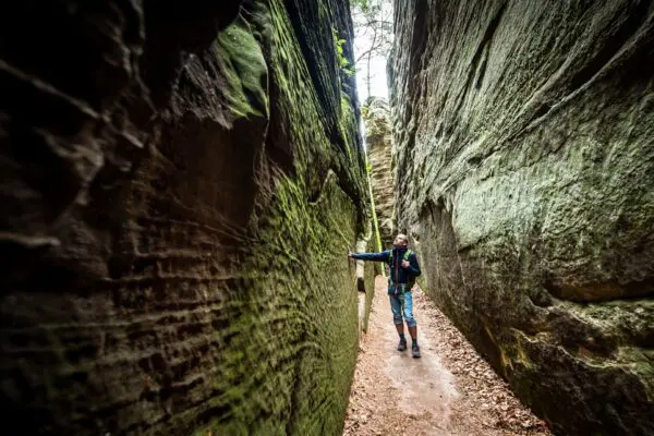 Groepsreis MullerthalTrail - TrailMullerthal - Trail