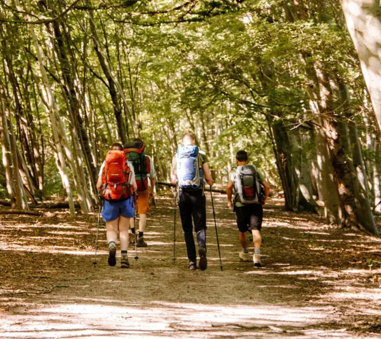 Groepsreis MullerthalTrail - TrailMullerthal - Trail