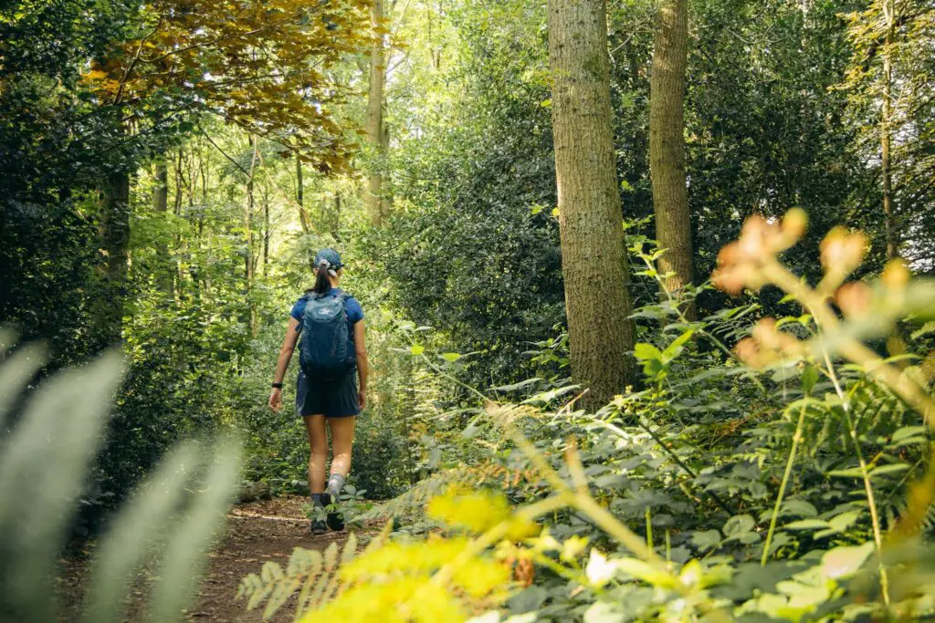 Groepsreis MullerthalTrail - TrailMullerthal - Trail