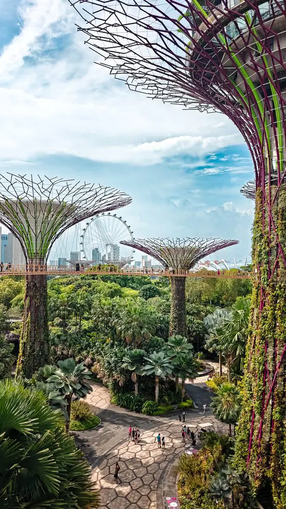 groepsreis Maleisië & Singapore - rondreis Maleisië & Singapore - Maleisië & Singapore reis