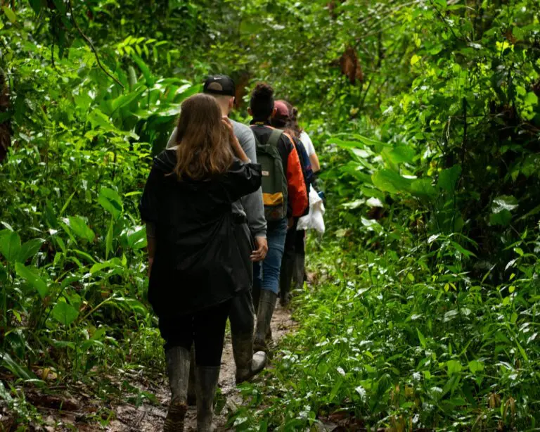 Groepsreis Brazilië - WeAdventures Brazilië - groepsreizen brazilië - rondreis brazilië - groepsreis Zuid-Amerika