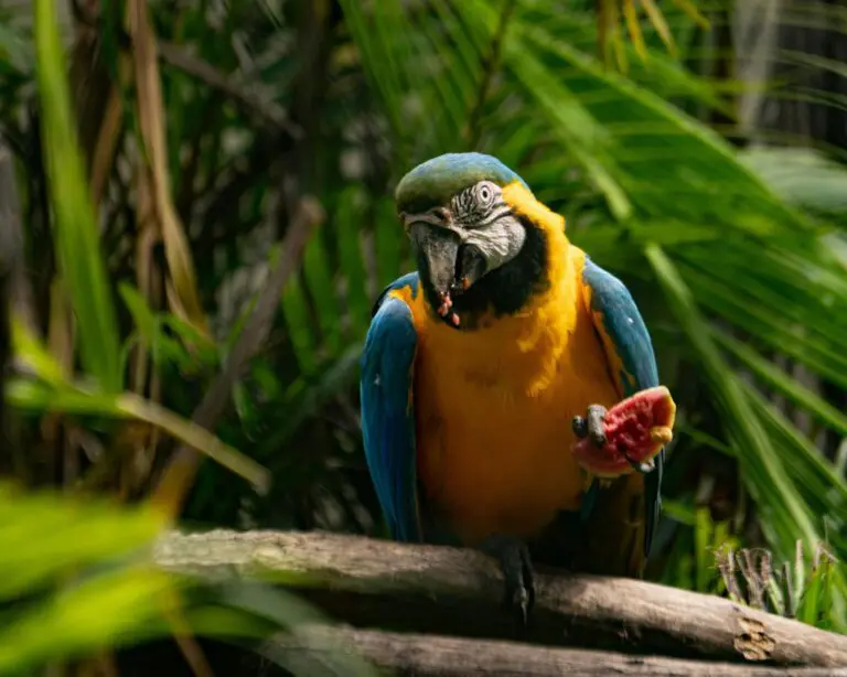 Groepsreis Brazilië - WeAdventures Brazilië - groepsreizen brazilië - rondreis brazilië - groepsreis Zuid-Amerika