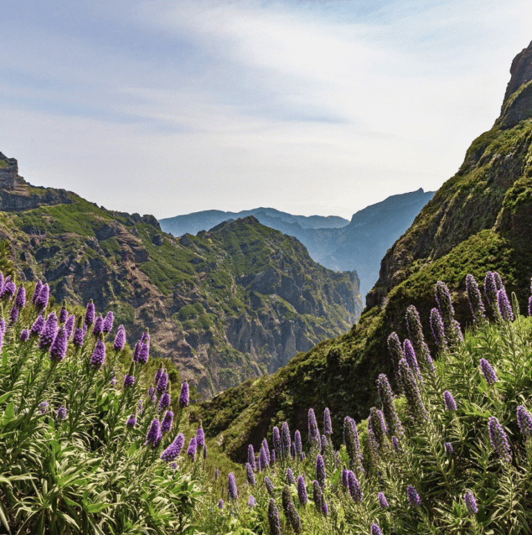 Groepsreis Madeira - Rondreis Madeira - Trektocht Madeira - Soloreizigers Madeira - Madeira Solo