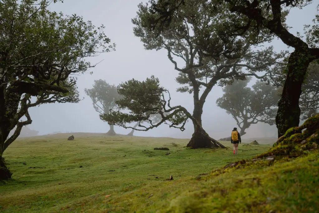 Groepsreis Madeira - Rondreis Madeira - Trektocht Madeira - Soloreizigers Madeira - Madeira Solo