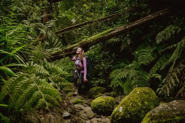 Groepsreis Madeira - Rondreis Madeira - Trektocht Madeira - Soloreizigers Madeira - Madeira Solo