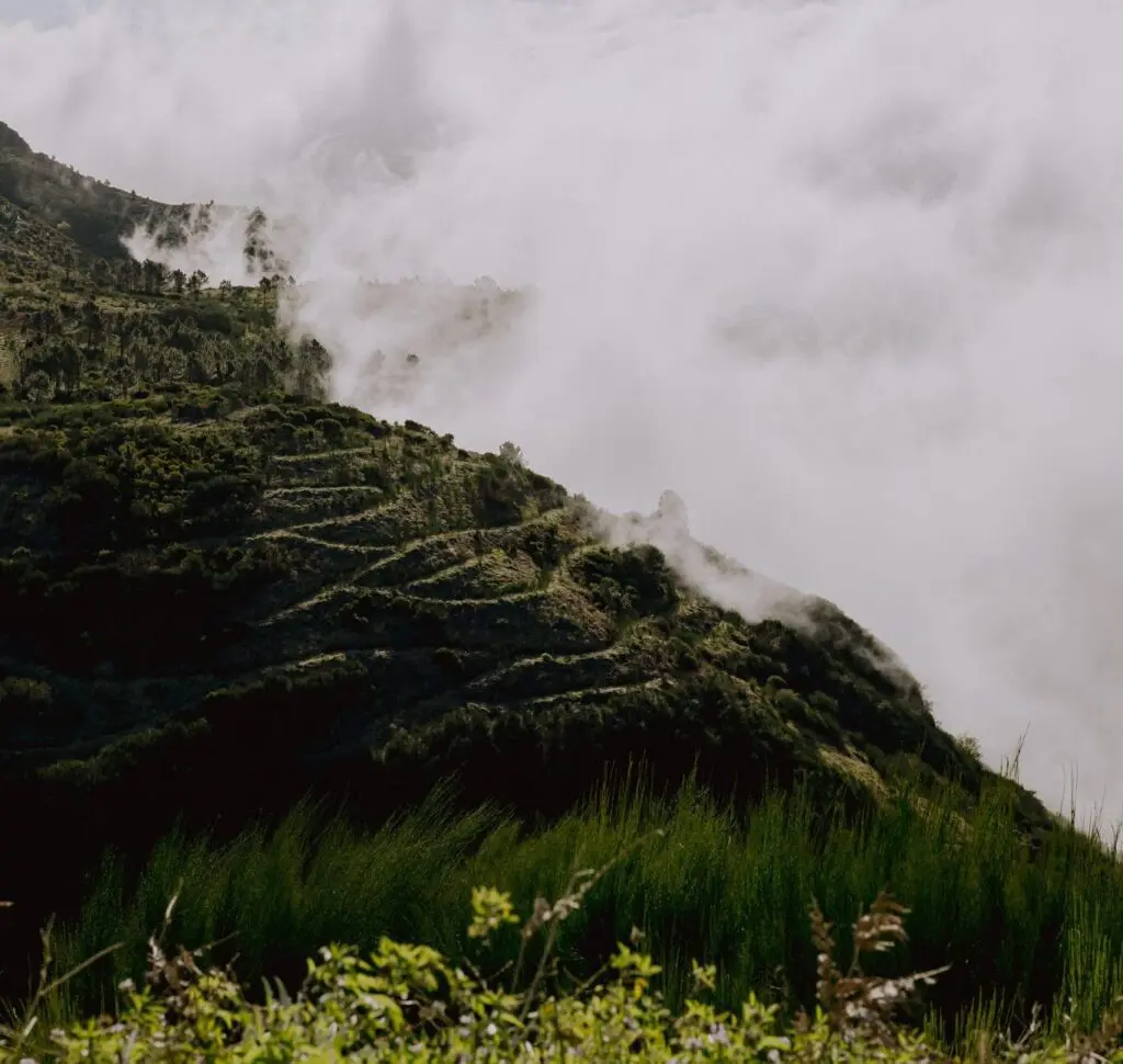 Groepsreis Madeira - Rondreis Madeira - Trektocht Madeira - Soloreizigers Madeira - Madeira Solo