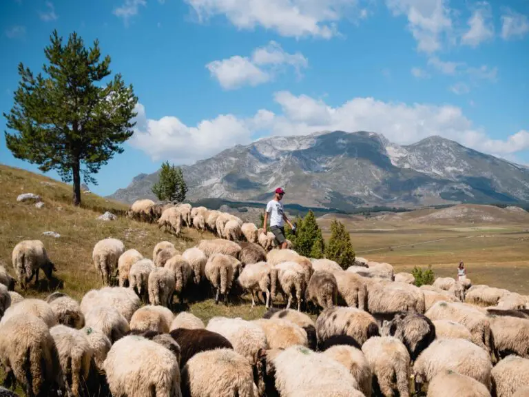 Groepsreis Albanië - Rondreis Albanië - Solo Albanië